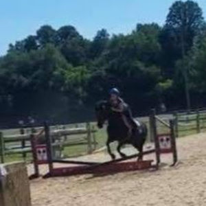 Meet your Posher, Raygen